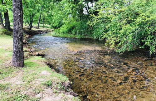 Lil Yellowstone - Foto 62