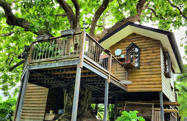 Quinta Pavo Real Complex by Acomodo - Photo 3