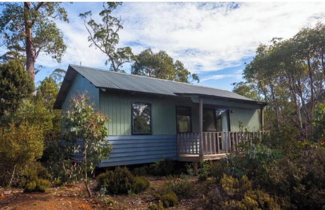 Discovery Parks - Cradle Mountain - Foto 29