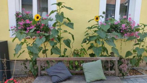 Ti's Herberge - Foto 4