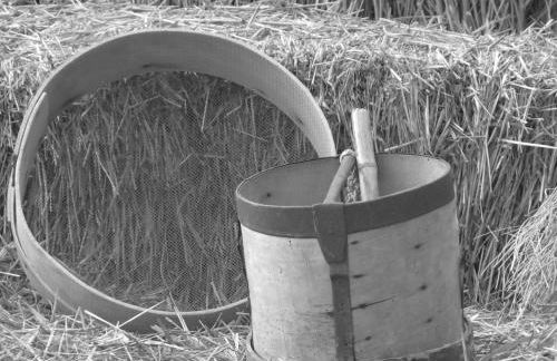 Agriturismo San Pietro - Foto 105