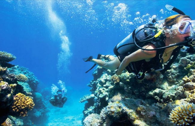 Crest Apartments Byron Bay - Photo 22