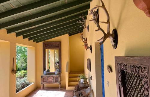 Finca La Alcolehuela - Foto 45