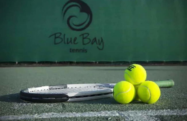 Blue Bay | The Reef - Photo 55