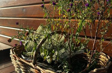 Cabanówka - Foto 37