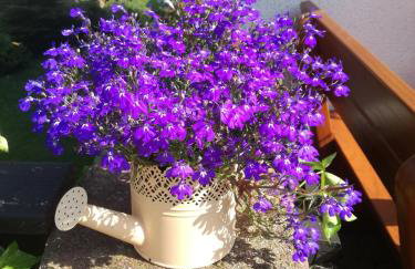 Haus Pfaff - Photo 26