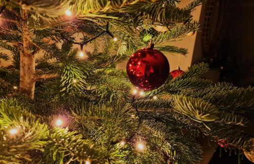 Croft House Sleeps 10 Country Views nr Salisbury - Foto 11