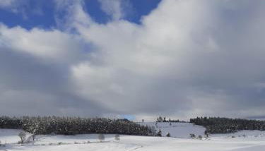 Gîte de fontanes aubrac Margeride loups du gevaudan Lozère - Foto 5