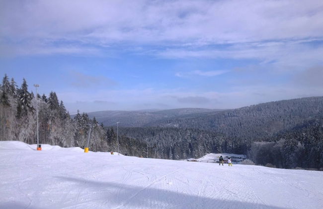 Apartment in Schnett Near the ski Area - Foto 17