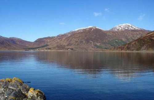 Market Stance - Photo 40