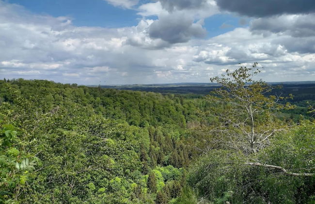 Ferienhaus in Schierke for 8 Personen - Photo 38