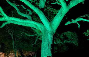 Pousada Rio Gouveia - Foto 99