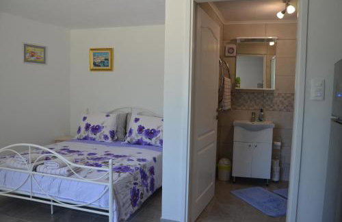 Studio Apartment Mileta - Photo 21