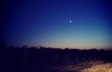 Il Casale degli Ulivi - Agriturismo - TENIMENTI LEONE - Foto 51