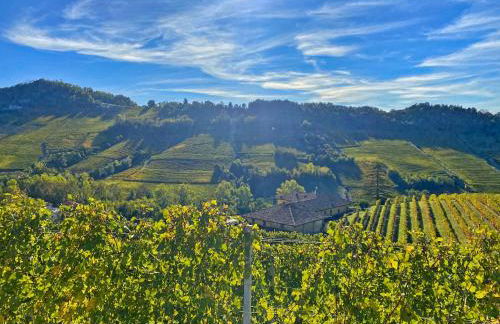 Just Langhe Casa Dolcetto - Foto 79