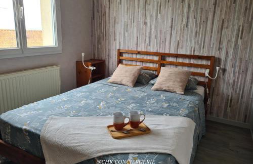 Chez Caco maison lumineuse avec jardin proche du Puy duFou - Foto 23