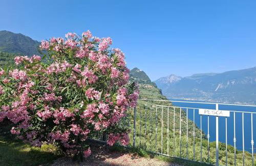 Vacanze al Frutteto - Foto 18