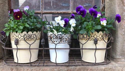 Ferienwohnungen Hanst - Foto 4