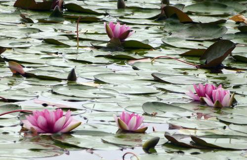 Mas Tulsà Casa Rural Girona - Foto 84