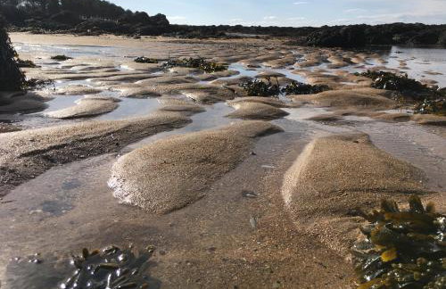 Cozy with Character Vibrant Cottage Style Flat at Leith Links Park - Foto 18