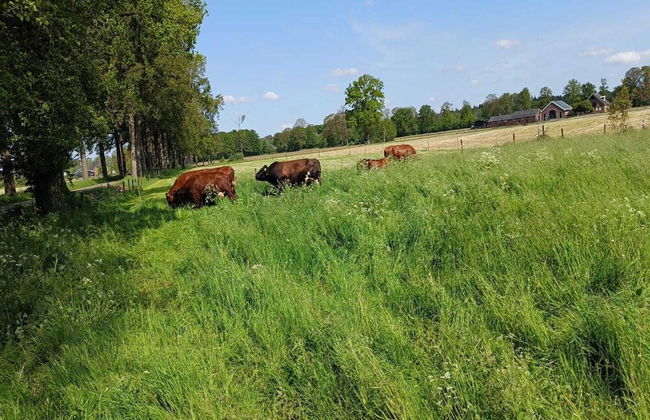Farmhouse in De Heurne Near the Forest - Foto 50