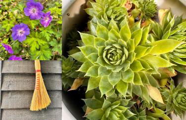 Paradiso Worpswede - Foto 34