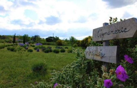 AU MAS D'EMMA - Foto 1