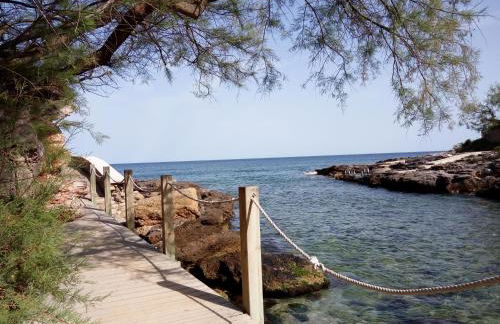 Dream House - Photo 25