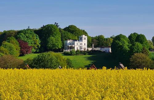 Anjas Ferienwohnung in Syke-am Bahnhof, zentral aber ruhig, 2 Zimmer, Terrasse, Parkplatz, Bremen nur 25 km - Foto 8