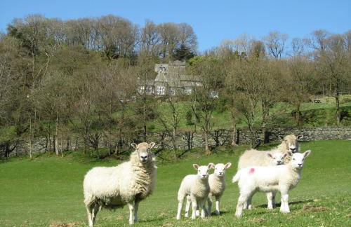 The Rockery Suite - Foto 24