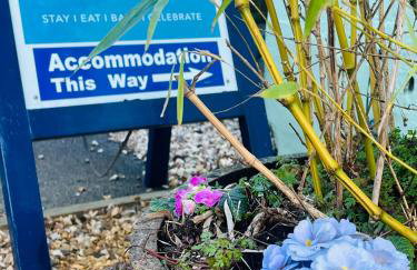 By the River - Foto 29