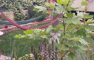 Mozart House Studio - Foto 28