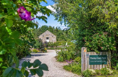 Pear Tree Cottage - Foto 17