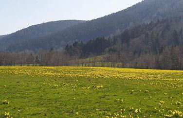 Chalet Les Noisetiers - Foto 19