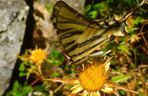 Quinta de São João - Foto 34