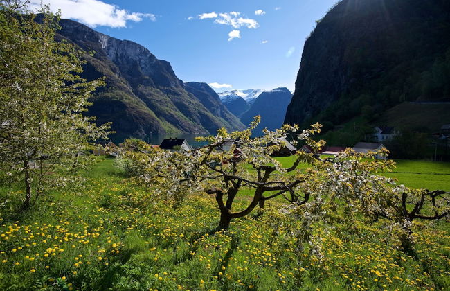 Visit Undredal - Foto 49