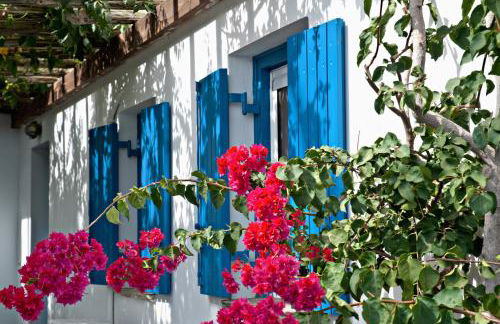 Porto Kalma - Photo 8