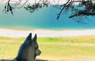 Appartement au pied des pistes- Piau Engaly - Foto 29