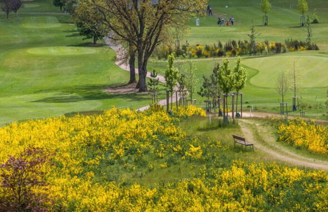 Weiherhof Comfortable Holiday Residence - Foto 14