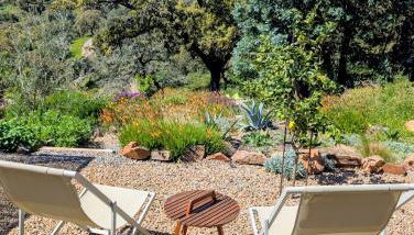 Finca Bravo - Foto 4