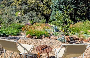 Finca Bravo - Foto 4