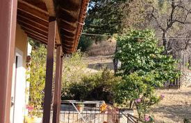 Efi Loutses - Foto 25