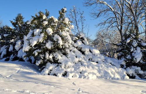 FeWo Harzer Wiesenberg, bis zu 2 Hunde willkommen! - Photo 11
