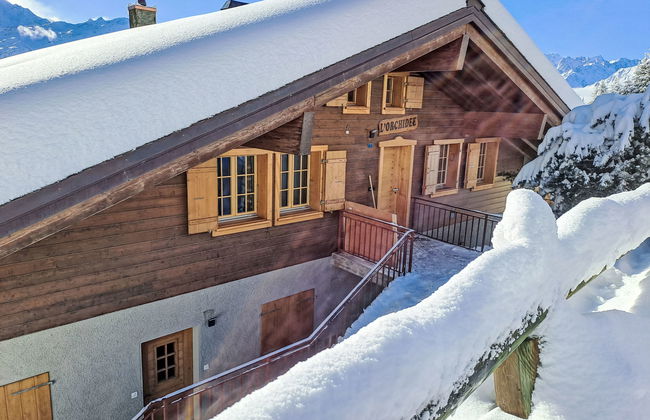 Orchidée 111 - Foto 14