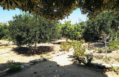 Green Garden House - Foto 23