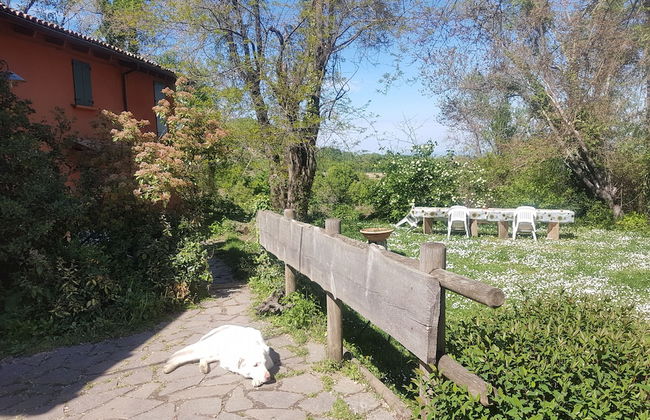 Agriturismo Piccola Raieda - Photo 55