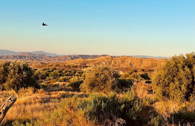El sueño de Andalucia - Foto 70