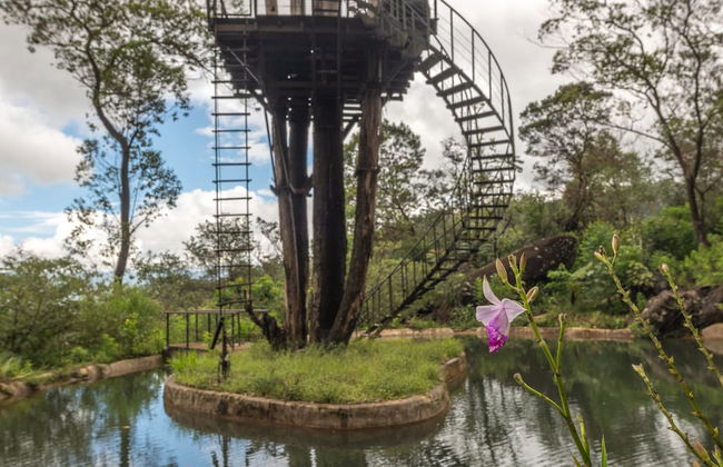 The Cavern - Foto 35