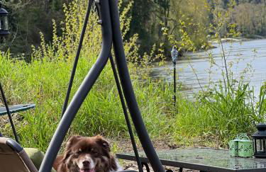 Blue Heron Sanctuary & Serene, river-front cottage - Foto 42