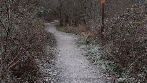 Ferienwohnungen Landleben - Foto 2